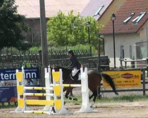 RFV-Seeben
Samstag, 28. Mai 2011 
12 Springpferdeprüfung Kl L
