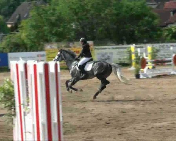 RFV-Seeben 
Samstag, 28.05.2011 
11 Springpferdeprüfung Kl A++
