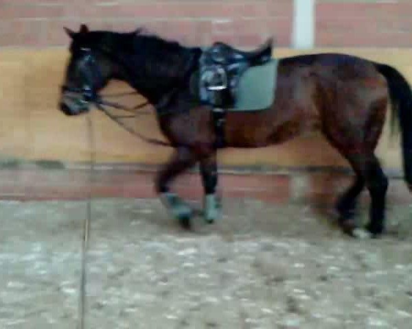 Video of C'est la vie 121