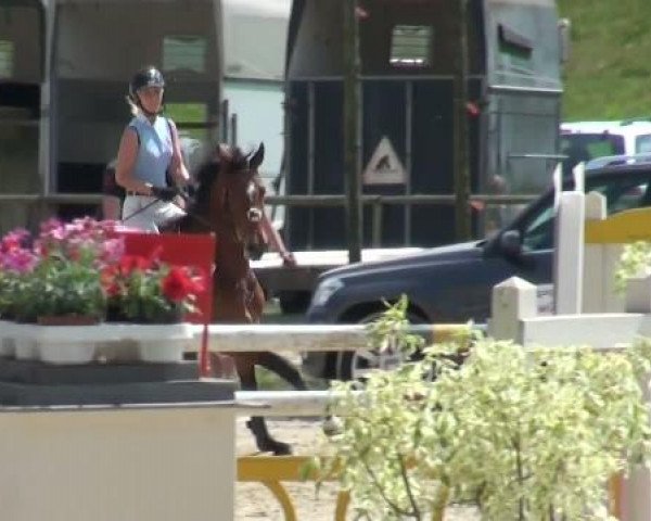 Reitverein Dorsten
Sonntag, 08. Mai 2011 37.1
Springprüfung Kl M*