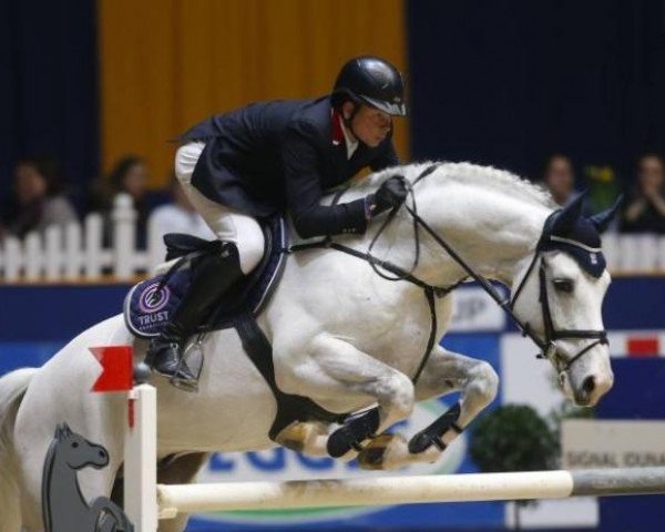 jumper Cotopaxi 7 (Westphalian, 2004, from Cornet Obolensky)