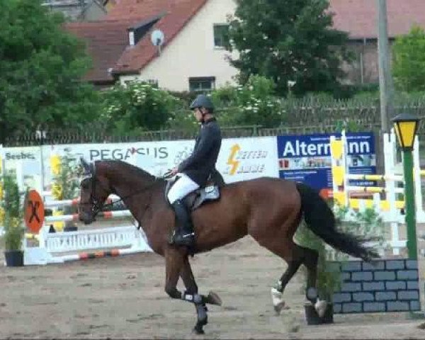 RFV-Seeben
Samstag, 28.05.2011
11 Springpferdeprüfung Kl A++