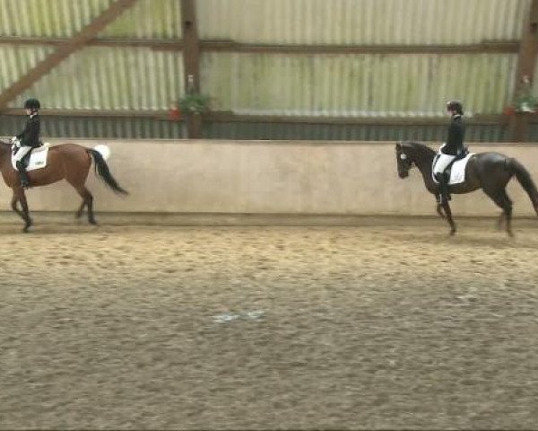 Reitverein Dorsten
Samstag, 07. Mai 2011 4
Pony Dressur WB Kl E