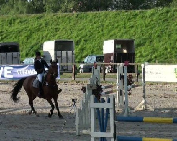 Reitverein Dorsten
Sonntag, 08. Mai 2011 32.1
Springprüfung Kl A**