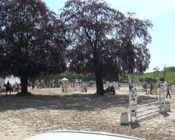 Reitverein Dorsten
Sonntag, 08. Mai 2011 6
Pony Spring WB Kl E