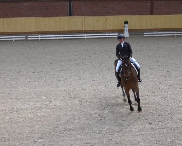 Reitturnier Hamburg-Friedrichshulde/Sylva Kuhrt 2022
