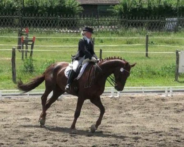 RFV-Seeben 
Sonntag, 29. Mai 2011 
6 Dressurprüfung Kl M +