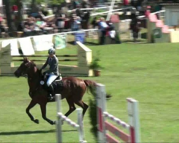 Greppin
Samstag, 07. Mai 2011
19.1 Springprüfung Kl M+