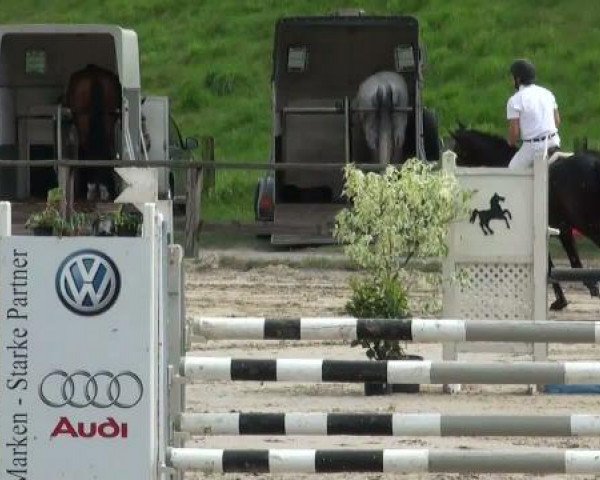 Reitverein Dorsten
Samstag, 07. Mai 2011 38.2
Springprüfung Kl M*