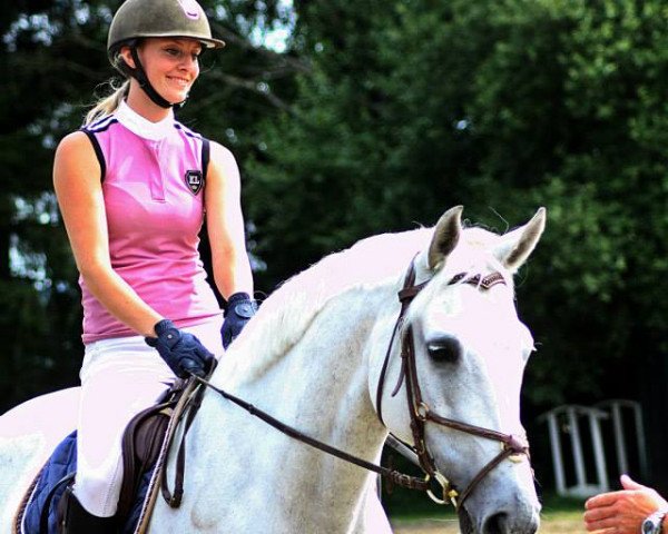 jumper Ludo 26 (German Sport Horse, 2004, from Levisto Z)