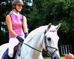 jumper Ludo 26 (German Sport Horse, 2004, from Levisto Z)