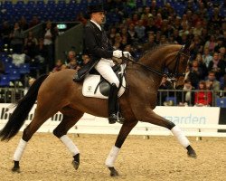 broodmare Marburg's Polka Hit (Danish Warmblood, 2002, from Sandro Hit)