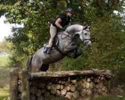 jumper Connor (Hanoverian, 2009, from Casillas 2)