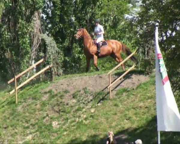 Greppin 
Samstag, 07. Mai 2011 
15.2 Springprüfung Kl L