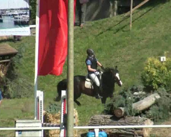 Greppin 
Samstag, 07. Mai 2011 
16 Derby-Springprüfung Kl L