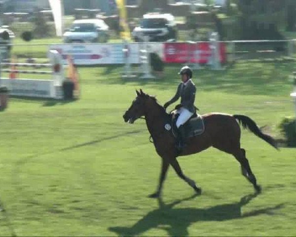 Greppin 
Samstag, 07. Mai 2011 
15.1 Springprüfung Kl L