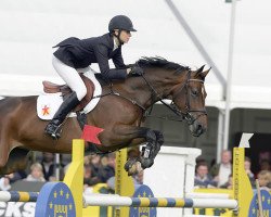 broodmare Liza Minelli (Oldenburg, 1999, from Fortinbras)