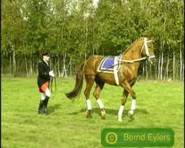 Video von Werther