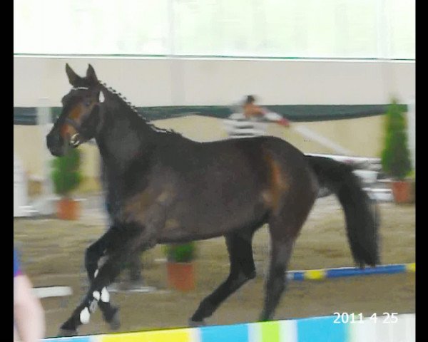 Video of Lizzjana HaB