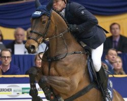 broodmare Leonie W. (Westphalian, 2003, from Larenco)