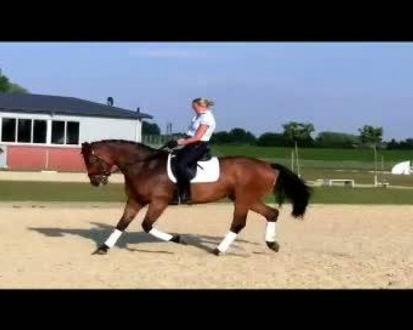 Video von Remember 164
