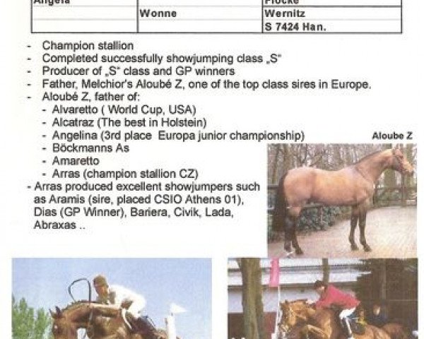 stallion Arras (Czech Warmblood, 1988, from Aloube Z)
