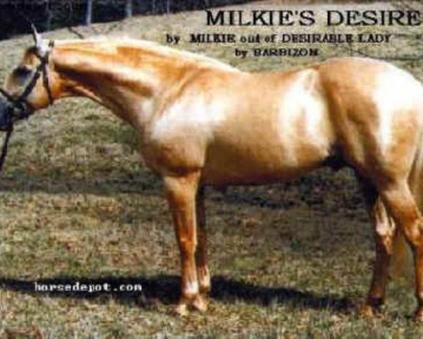 stallion Milkie's Desiree xx (Thoroughbred, 1986, from Milkie xx)