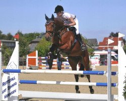 jumper Fine Girl 8 (Hanoverian, 2007, from For Edition)