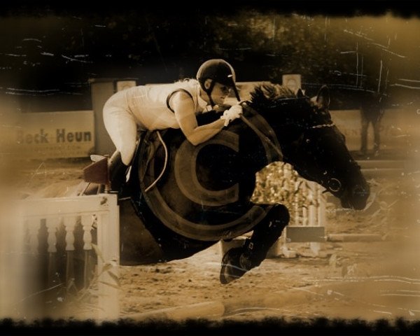 dressage horse Rio de Rasso (Bavarian, 1993, from Rasso)