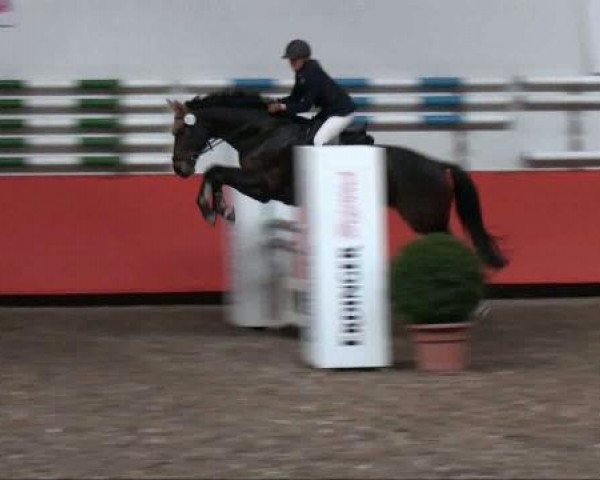 Reiterhof Laurent in München
Freitag, 25. März 2011
12 4 Springprüfung KL