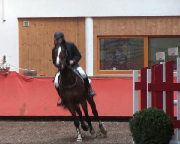 Reiterhof Laurent in München
Freitag, 25. März 2011
12 4 Springprüfung KL 