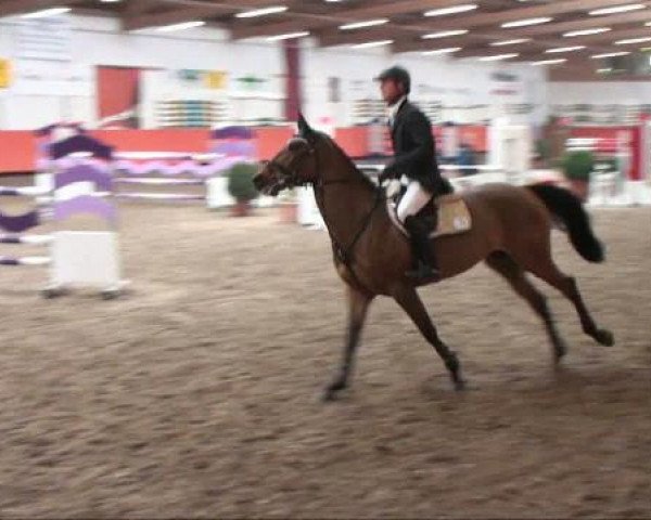 Reiterhof Laurent in München
Sonntag, 27.März 2011
6 Springpferdeprüfung Kl. M+