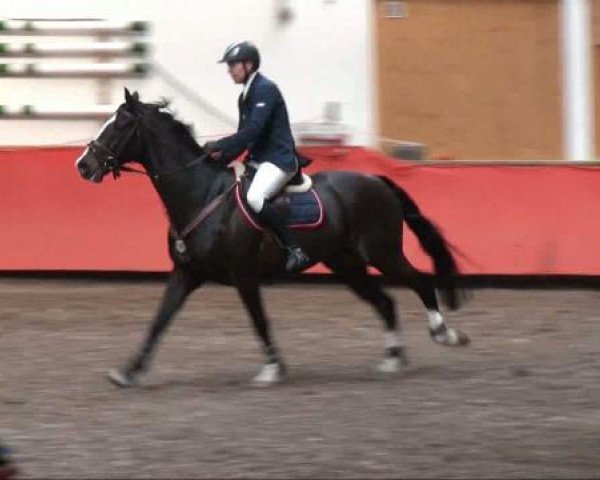 Reiterhof Laurent in München
Freitag, 25. März 2011
12 4 Springprüfung KL 