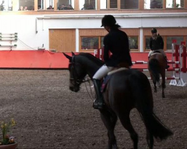 Reiterhof Laurent in München
Freitag, 25. März 2011
12 4 Springprüfung KL 