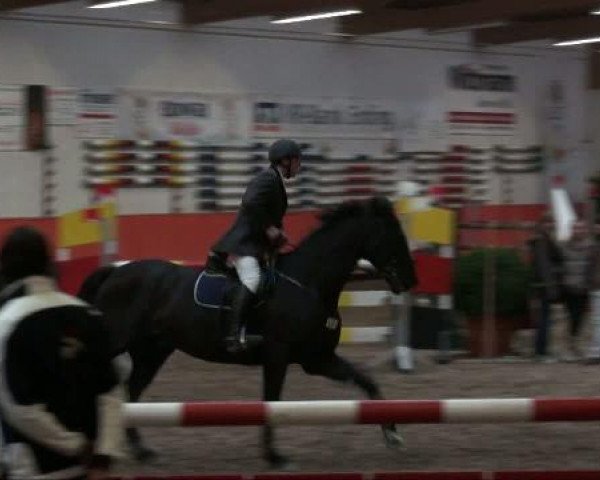 Reiterhof Laurent in München 
Freitag, 25. März 2011 
14 Springprüfung Kl.M+