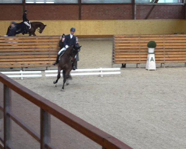 Reitturnier Hamburg-Friedrichshulde/Sylva Kuhrt 2022