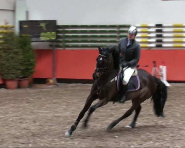 Reiterhof Laurent in München
Samstag, 26. März 2011 
9 2 Stilspringprüfung KL Kl A** -AO- 