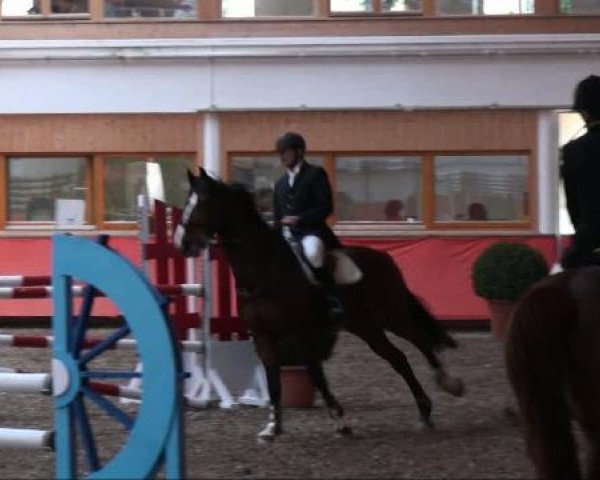 Reiterhof Laurent in München 2011
Freitag, 25. März 2011
12 4 Springprüfung KL