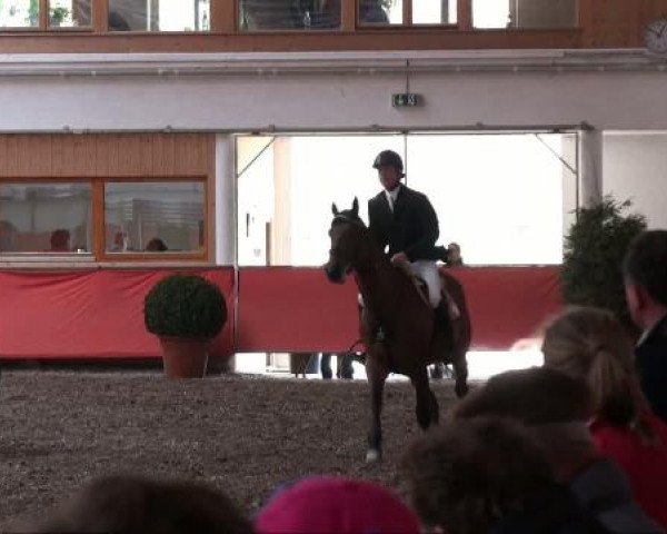 Reiterhof Laurent in München 2011
Freitag, 25. März 2011
12 4 Springprüfung KL