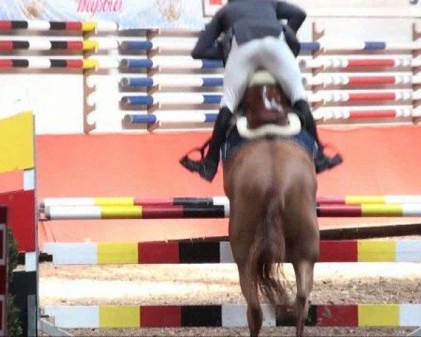 Reiterhof Laurent in München 2011
Freitag, 25. März 2011
12 4 Springprüfung KL