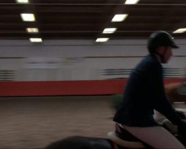 Video of conzerto-4