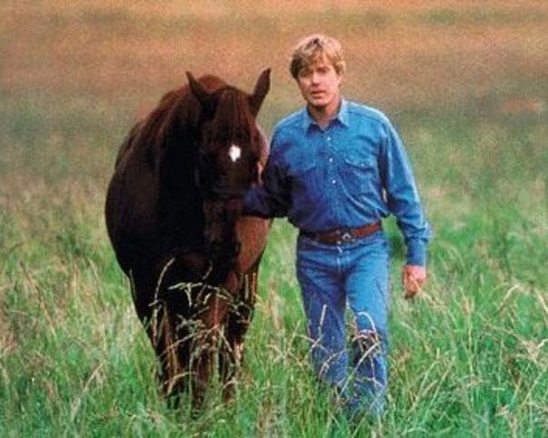 stallion Artist 2406 (Brandenburg, 1983, from Arzano 2682)