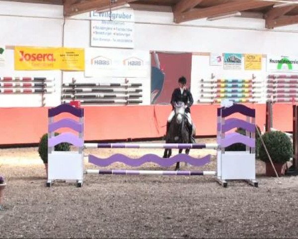 Reiterhof Laurent in München
Freitag, 25. März 2011
3 Springprüfung KL A++