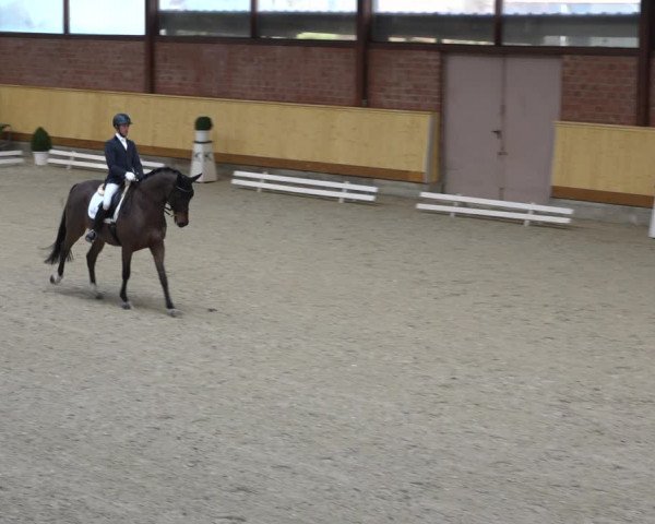 Reitturnier Hamburg-Friedrichshulde/Sylva Kuhrt 2022