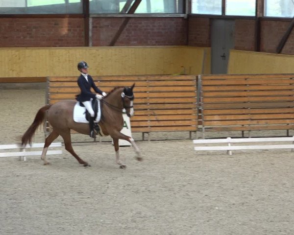 Reitturnier Hamburg-Friedrichshulde/Sylva Kuhrt 2022