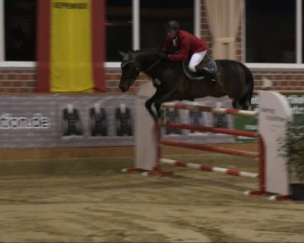 Rosendorf Classics 2011 Samstag, 19. März 2011
    14 Zwei-Phasen-Springprüfung KL.S+