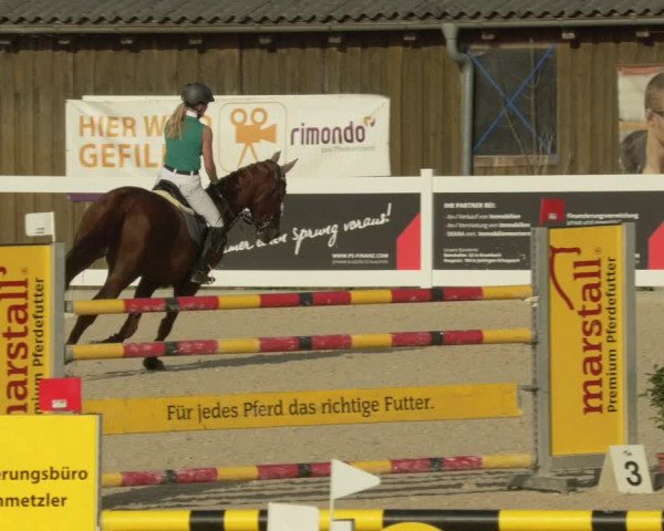 Springturnier Memmingen 2021