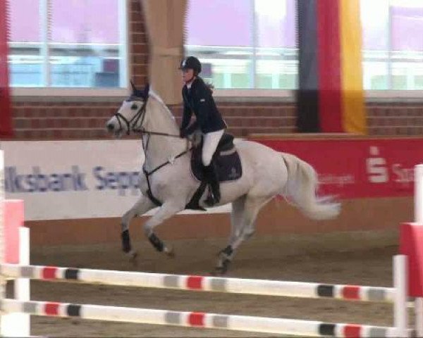 Rosendorf Classics 2011 Samstag, 19. März 2011 
01-1 Springprüfung Kl. A++