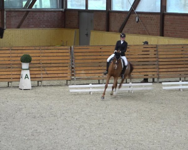 Reitturnier Hamburg-Friedrichshulde/Sylva Kuhrt 2022
