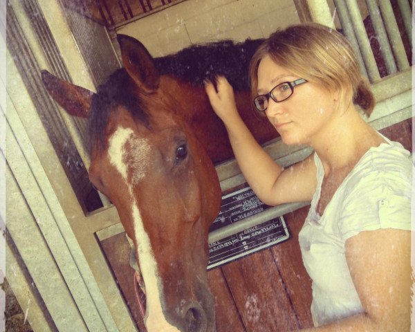 horse Zandiega D. (KWPN (Royal Dutch Sporthorse), 2004, from Krack C)